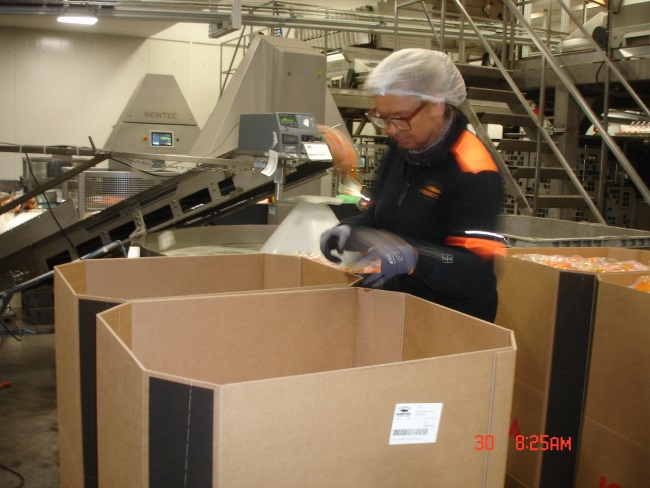 2021-07-30 Packeriet