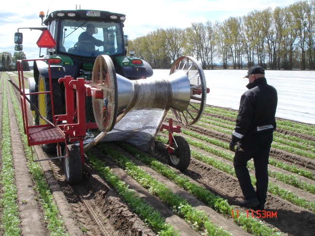 2020-05-11 Plastborttagning 001