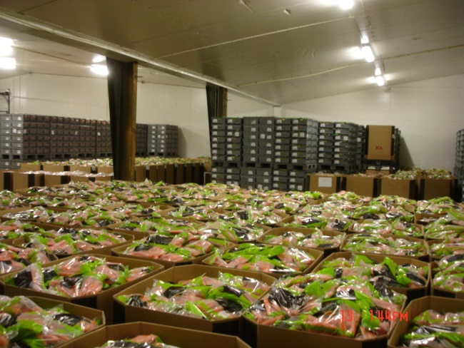 2020-09-13 Morotslager 001