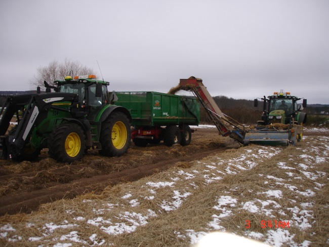 2021-02-03 Halm borttagning 005