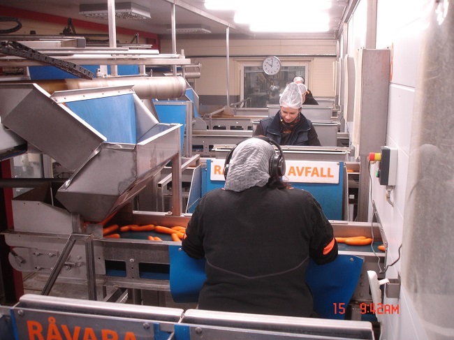 2024-01-15 Sortering A