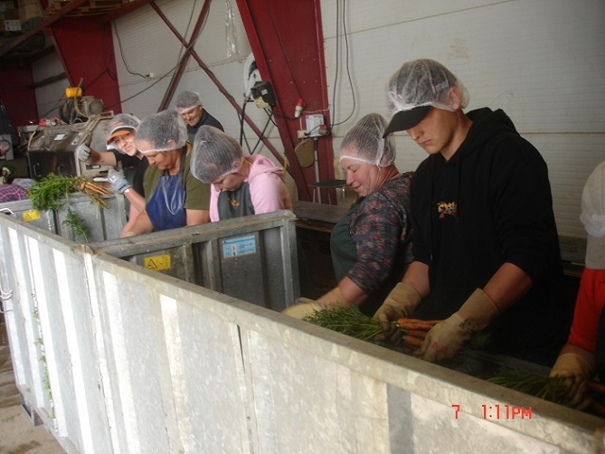 2024-06-07 Knippe