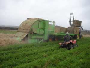 Halmutspridning 2014-10-16 003
